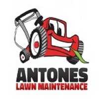 Antones Lawn Maintenance, Inc. Logo