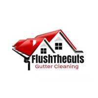 Flush The Guts Gutter Cleaning and Guards Logo