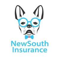New South Insurance Group Logo