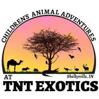 TNT EXOTICS Logo