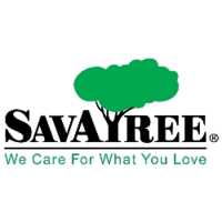 Aspen Tree Service - SavATree Logo