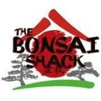 The Bonsai Shack Logo