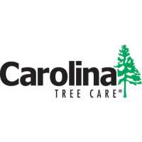 Carolina Tree Care Logo