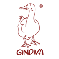 Gindiva Mining Group & Consultants  Logo