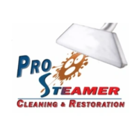 Pro Steamer Logo